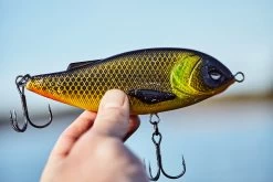 Lucky John Arrow Jerk 15F 26 Lucky John Arrow Jerk 15F -Angler's Advantage Shop 0ed6f134 9a76 4ee0 b221 f9a7c6c3f74c