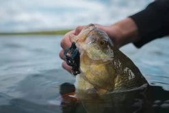 Headbanger BangerLizard 8.6 Cm Jig 10-pack -Angler's Advantage Shop 1897b017 c924 417f 8fb7 90fc7452d683