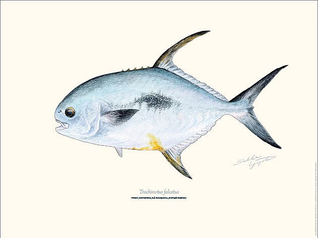 Sakke Yrjölä Permit 30x40cm Poster 3 Sakke Yrjölä Permit 30x40cm Poster