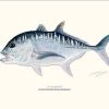 Sakke Yrjölä Giant Trevally 30x40cm Poster -Angler's Advantage Shop 2250c029 5482 45fa 80fd 9a7b128638bd