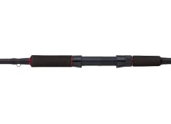 Abu Garcia Beast Pike Spinning Reel Rod