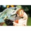 Savage Gear NED Salamander 7.5 Cm Jig 5-pack -Angler's Advantage Shop 35998179 fd71 4790 b211 ce2b4ceb299b