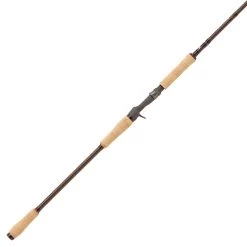 Abu Garcia Beast Pro Baitcasting Rod