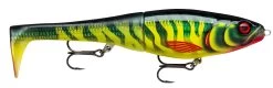 Rapala X-Rap Peto 20 Cm Jerk -Angler's Advantage Shop 42277801 27ae 40de 8fd1 580ea707d146