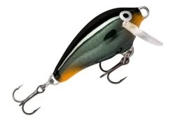 Rapala Mini Fat Rap 3 Cm Plug 30 Rapala Mini Fat Rap 3 Cm Plug -Angler's Advantage Shop 436a0801 2da0 480b 9e2d b5115ecc9239