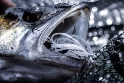 Quantum 4Street Chatter 10 G -Angler's Advantage Shop 4568cc39 3f02 483b 8fc3 02d4aa14d471