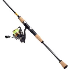 Daiwa Laguna LT Spinning Reel Combo