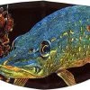 Sakke Yrjölä Pike Sculpin Cloth Facemask -Angler's Advantage Shop 61a78be1 602d 4d04 bd9e 3f8291c41664