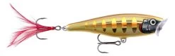 Rapala Skitter Pop 7 Cm Popper -Angler's Advantage Shop 6b694946 3374 46b2 b723 1b4595f0f47f