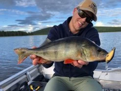 Headbanger Cranky Shad 6.4 Cm Plug 9 Headbanger Cranky Shad 6.4 Cm Plug -Angler's Advantage Shop 8768ec85 255e 4ada 9047 ada31533acbc