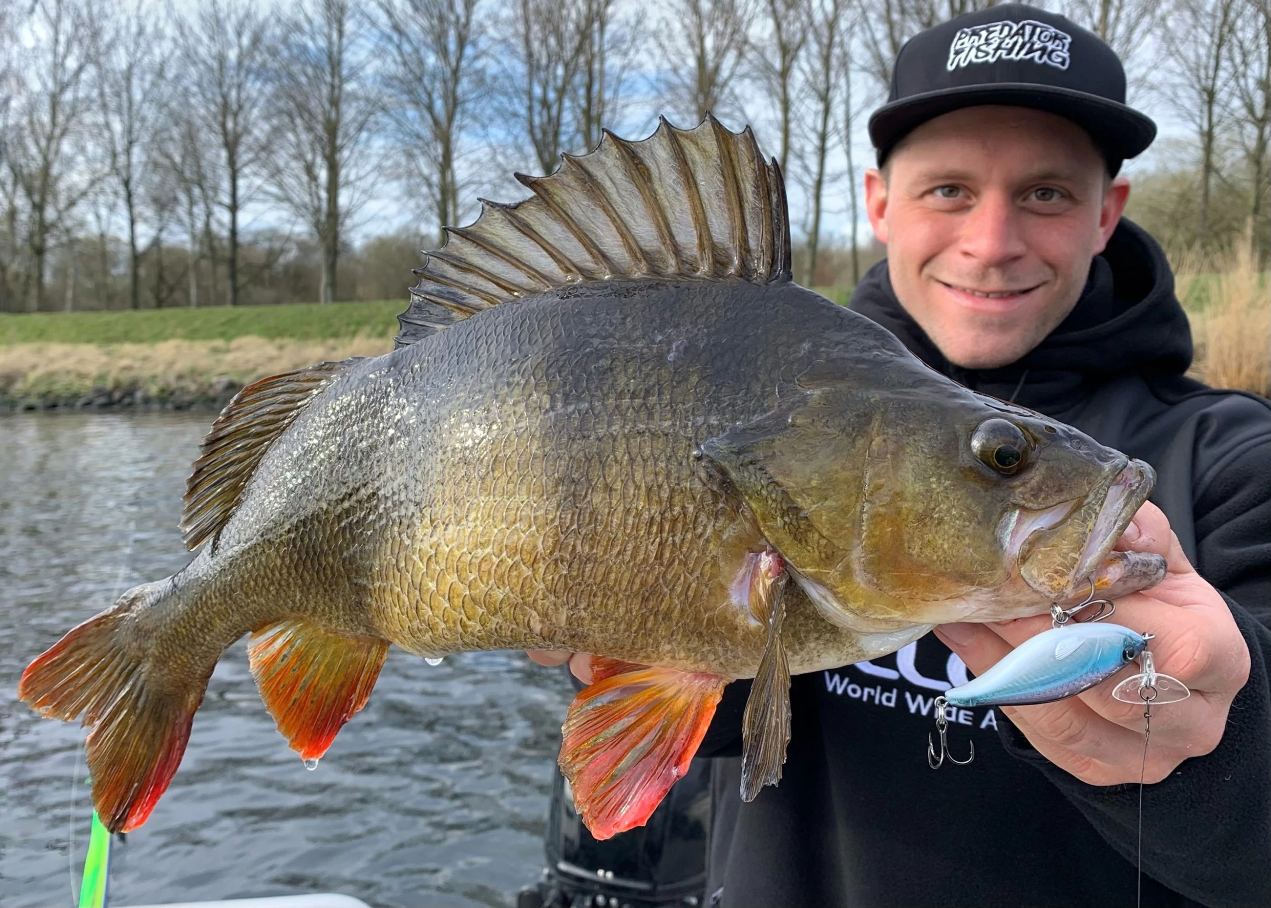 Headbanger Cranky Shad 6.4 Cm Plug 7 Headbanger Cranky Shad 6.4 Cm Plug - Image 5