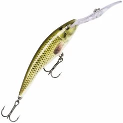 Rapala Deep Tail Dancer 11 Cm Plug 40 Rapala Deep Tail Dancer 11 Cm Plug -Angler's Advantage Shop 9cb5d4cb c06f 4d62 a3e0 f9011a026ea3