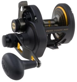 Penn Fathom Lever Drag 2 Speed Baitcasting Reel