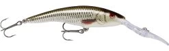 Rapala Deep Tail Dancer 13 Cm Plug 16 Rapala Deep Tail Dancer 13 Cm Plug -Angler's Advantage Shop bc6ec8d9 d9f0 4e47 ad2c 8e024c5a1489