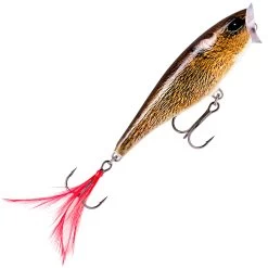 Rapala Skitter Pop 7 Cm Popper -Angler's Advantage Shop c6905344 08dc 4fe4 af4f 5e575b4d8318