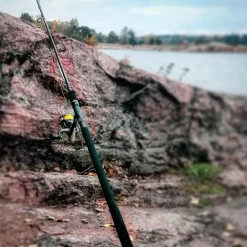 Daiwa Aird X Spinning Reel Rod -Angler's Advantage Shop d4328210 f9a4 4bef 819d 9357e64beb25