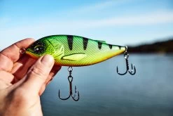 Lucky John Arrow Jerk 15F 27 Lucky John Arrow Jerk 15F -Angler's Advantage Shop e40a95d2 06b7 4f46 bde4 23fbc7c7b932