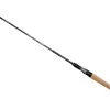 Daiwa GoldCast Spincast Rod -Angler's Advantage Shop ec0e4f52 3783 4e86 ad16 cda779414f93